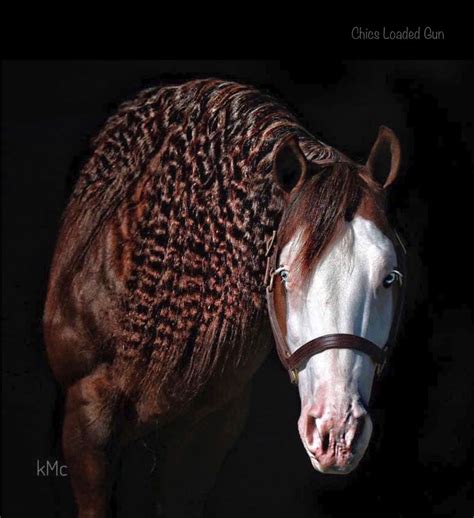 Pin Su Horse Tack Ideas