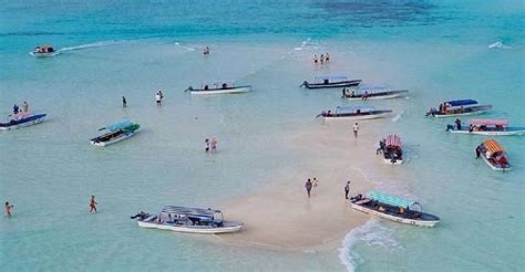 Zanzibar Mnemba Island Private Snorkeling Tour With Pickup Getyourguide