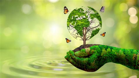 world nature conservation day   july shangoni