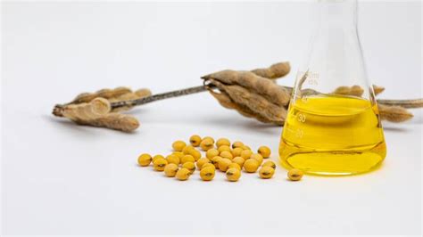 Soy prices, news and market analysis