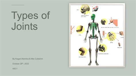 Biology Synovial Joints