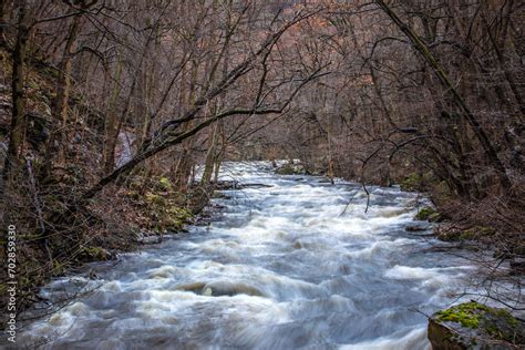 Die Bode Ein Reißender Fluss Bei Hochwasser Im Harz Im Jahr 2024 스톡 사진