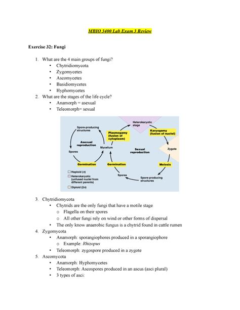 Lab Exam Review Dr Randall Mark Jeter Mbio Lab Exam