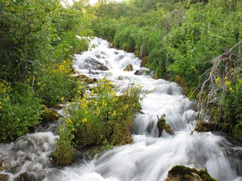 Fotos Gratis Paisaje Naturaleza Bosque Rock Cascada Arroyo