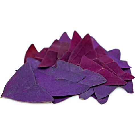 Oxalis Purple – Bravo Fine Foods Hong Kong