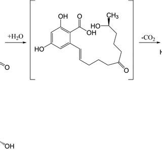 Scheme 1 A The Hydrolytic Process Of ZEN By ZHD The Structures Of