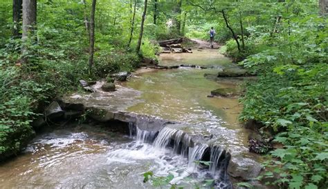 The Hoosier National Forest Still in Danger – Indiana Forest Alliance