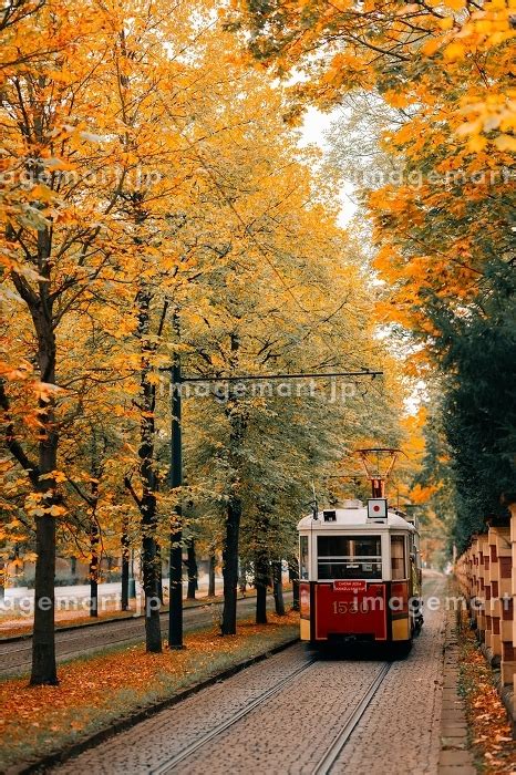 An old tram rides along an autumn alley in Pragueの写真素材 234865447