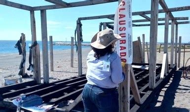 La Jornada Clausura Profepa Obras Y Actividades En Playa El Ed N En