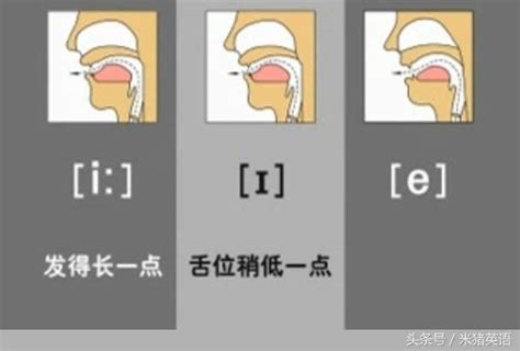 圖解英語48個音標發音，準確發音so Easy！（一） 每日頭條