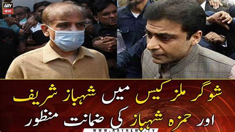 Lahore Court Grants Shehbaz Sharif Hamza Shahbaz Interim Bail In Sugar