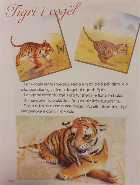 Skolbanken Läsförståelse av texten Liten tiger