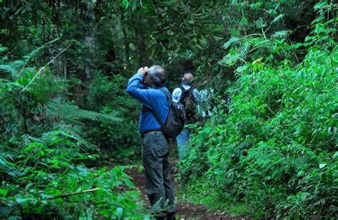 Información útil para recorrer Misiones