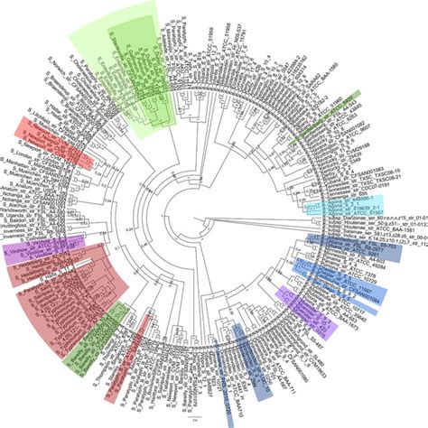 Pangenome Tree Of Salmonella Enterica Subspecies Enterica Serovars With