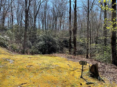 Funeral Homes and Memorial Services in Balsam Grove, NC