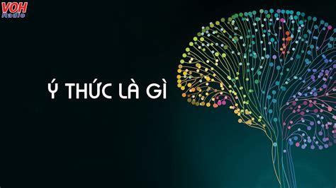 Ý thức là gì Nguồn gốc và vai trò của ý thức đối với mỗi con người