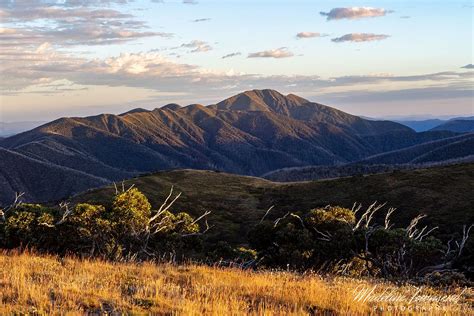 Mt Hotham in Summer