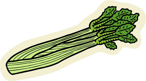 Green Celery Png File Png Mart