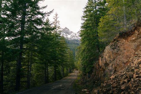 Guide to Exploring Lake Cushman: Hiking, Camping, & More! · Anna Tee