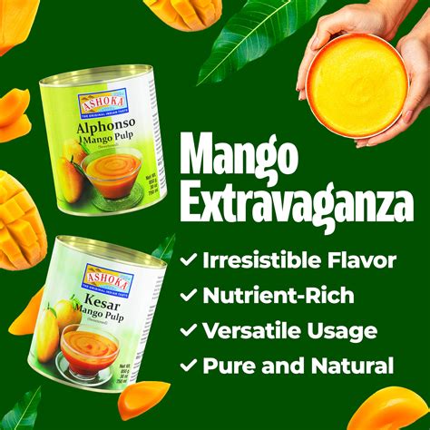 Snapklik Ashoka Canned Mango Pulp Premium Alphonso Mango Extract