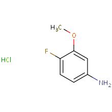 Fluoro Methoxyaniline Hcl G G G