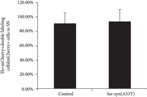 Exogenous High H Syn Expression In The Snc A Representative Images