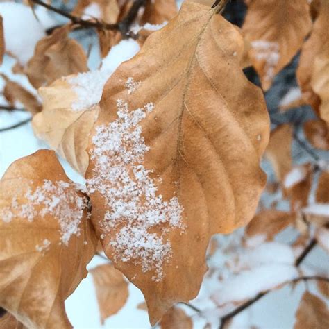 2 00PM Water Cooler 2 5 2019 Naked Capitalism