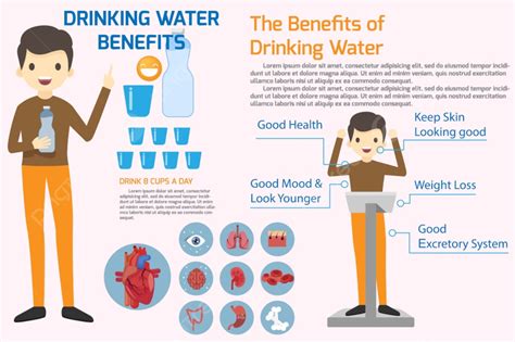 People Drinking Water And Benefits Of Drink Water Infographics Vector