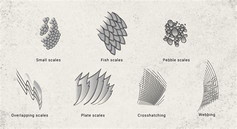 What Exactly Is Dragon Anatomy, And What Is It Based On?