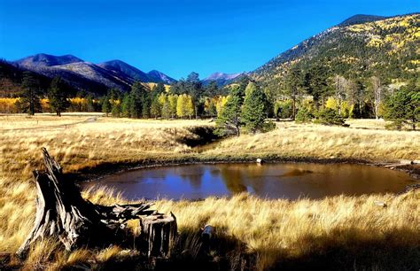 Lockett Meadow Arizona Fall At Lockett Meadow Arizona Th Flickr