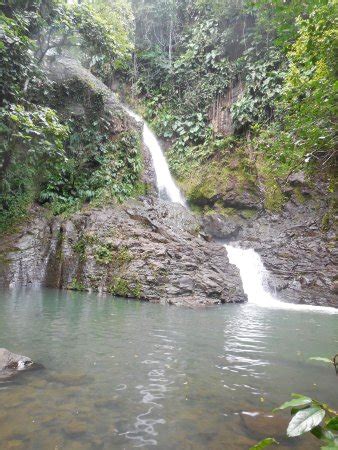 Saut De Bras De Fort Goyave 2018 Ce Qu Il Faut Savoir Pour Votre