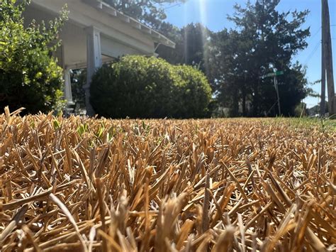 In Lafayette, it’s a dry heat - the eighth driest summer recorded in