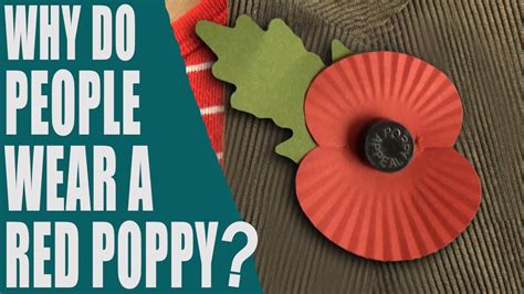 Why Do People Wear A Red Poppy What Is Poppy Day Remembrance Day 2023