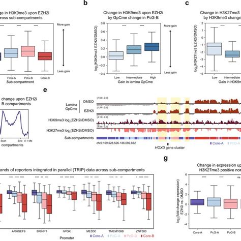 H3K27me3 Antagonizes Constitutive Heterochromatin Spreading A Boxplot