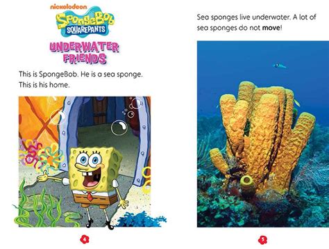 【popcorn】spongebob Squarepants： Underwater Friends ｛書＋cd｝ 權盛實業有限公司