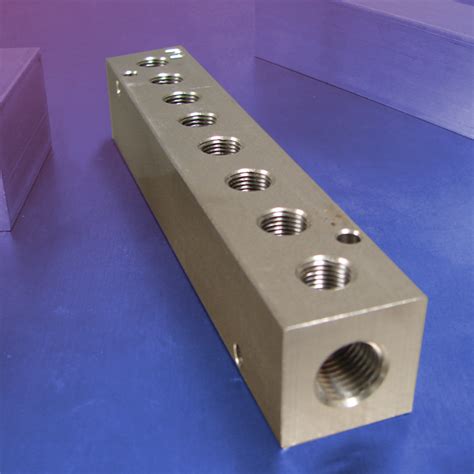 Station Npt F Input Stainless Steel Manifold Station