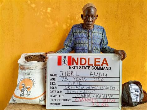 Ndlea Arrests 75 Year Old Grandpa With 75 Kilograms Of Cannabis Daily Post Nigeria