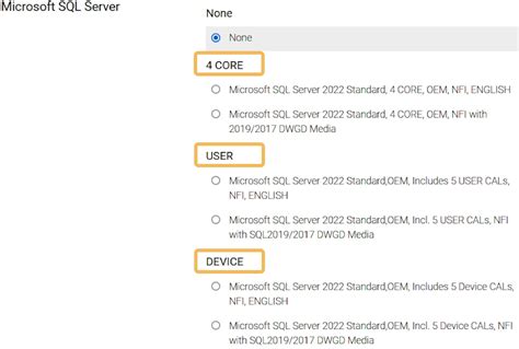 Microsoft Sql Server Licensing And Additional Server Dell Us