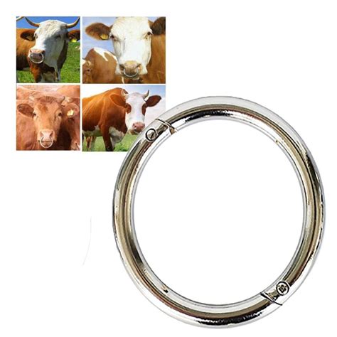 1Pcs Bull Traction Ring Round Bull Nose Ring Big B... – Vicedeal