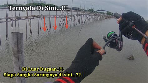 Gacorrr Siapapun Pasti Gacor Mancing Di Spot Ini Mancing Bagan