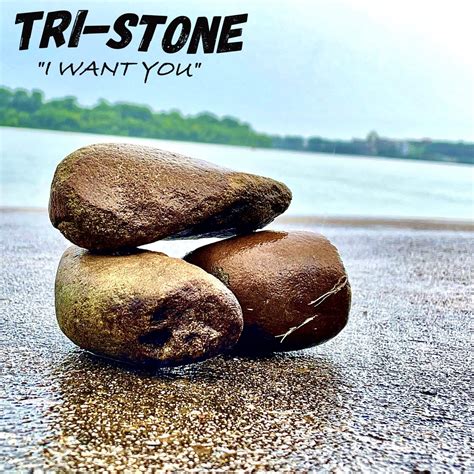 I Want You Single Album By Tri Stone Apple Music