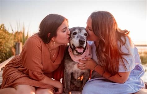 Touching Story Two Best Friends Adopt 19 Year Old Dog Surrendered At