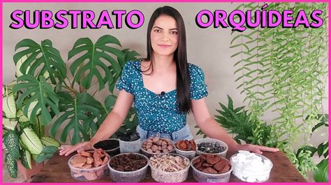 Qual O Melhor Substrato Para Orqu Dea Youtube