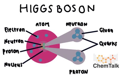 Bosons vs. Fermions | ChemTalk