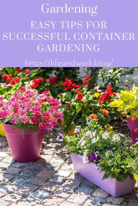 Easy Tips For Successful Container Gardening