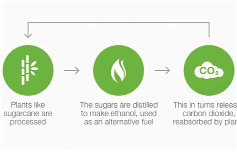 Why Bioethanol Fuel? | ArchiPro AU