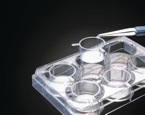 Cell Culture Inserts Millicell VWR