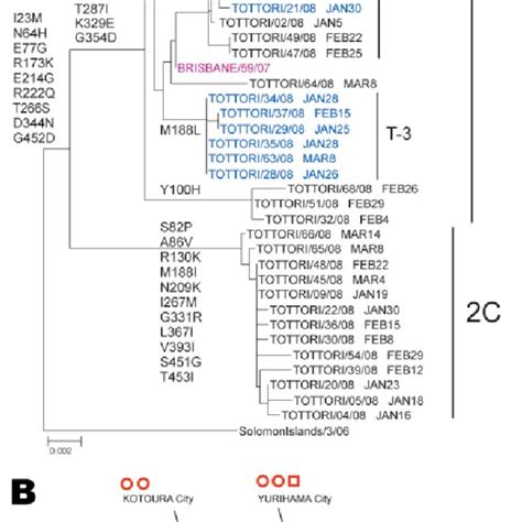 Phylogenetic Analysis Of Infl Uenza A H N Neuraminidase Genes A