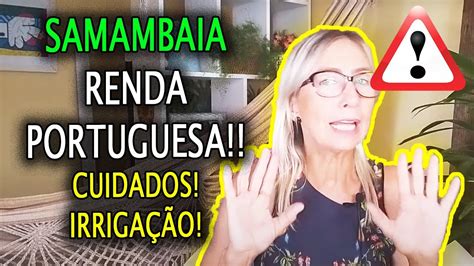 Samambaia Renda Portuguesa Como Cuidar Irriga O Youtube