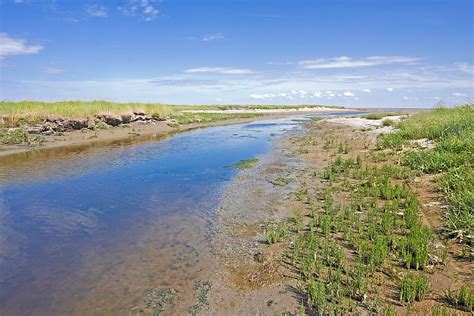 What Is A Tidal Creek In Geography? - WorldAtlas